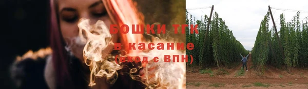 мдпв Верхний Тагил