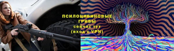 трава Верея