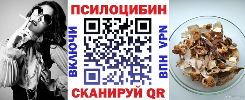 Псилоцибиновые грибы Psilocybine cubensis  Пенза 
