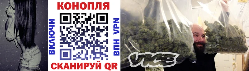 гидра tor Пенза Бошки марихуана сатива